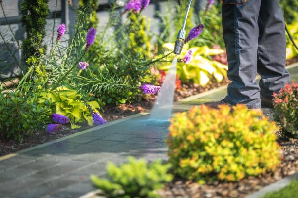 Reliable Elmsford, NY Pressure Washing Services Solutions